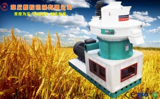 中國創新提速，綠色經濟之離心高效環模顆粒機