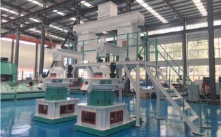 補貼時代，生物質顆粒市場如何了呢？你想知道的在這里